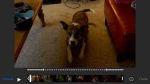Then, tap the clock icon, then move the speed control slider so that the number next to the rabbit shows 1x. How To Speed Up Slo Mo Videos On Your Iphone Cult Of Mac