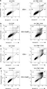 Including ants, bee's, mice, rats, squirrels, raccoons, skunks, bats, and more. Cathepsin D Links Tnf Induced Acid Sphingomyelinase To Bid Mediated Caspase 9 And 3 Activation Cell Death Differentiation