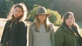 Twilight Series: The Wolff Sisters