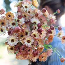 Pin On Plant A Garden
