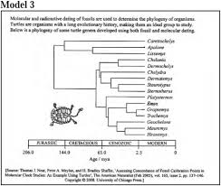 50 ecological relationships worksheet answers … , encourage them to try to remember as many relationships between organisms as possible. Investigating Tree Thinking Ancestry With Cladograms