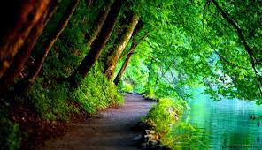 Cool 4k wallpapers ultra hd background images in 3840×2160 resolution. Windows Nature Wallpapers Top Free Windows Nature Backgrounds Wallpaperaccess
