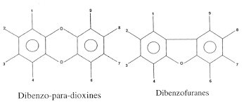 Aquests compostos, són bioacumulatius en humans i en els animals, degut a les seues propietats lipofiliques, i són productes teratogens, mutagens i se sospita que cancerosos en humans. Cyberlivre Dioxines Marie Paule Bassez Enseignement