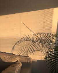 L E L I A M A E On Instagram Day Dream Happyfriday Aesthetic Wallpapers Brown Aesthetic Aesthetic Rooms