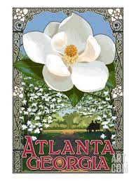 Single White Magnolia Atlanta Georgia Art Print Lantern Press Art Com Art Prints Giclee Art Print Art Print Display
