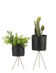 Blumentopf Set Auf Metallgestell Zimmerblumen Pflanzenzubehor Und Metallgestell