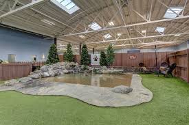 Not only are we animal lovers, but we also have the experience to provide the highest quality of services. The Pawington The Bay Area S Pet Resort