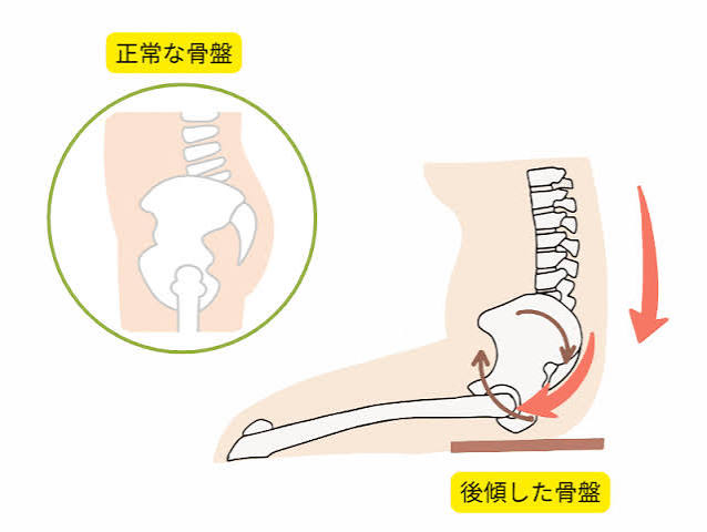 もも裏がカチカチに硬い人は腰痛になりやすい？体が硬くてもできる、椅子に座ったままストレッチ | ヨガジャーナルオンライン