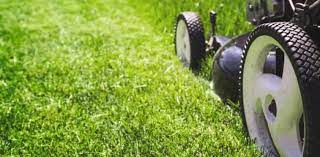 Wilson landscape design has been providing professional lawn mowing and landscaping services in frisco and mckinney for many years. About Thompson Landscape