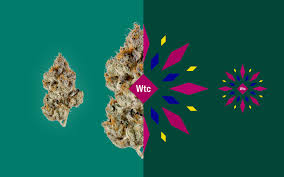Why Has Leafly Created A New Visualization System For