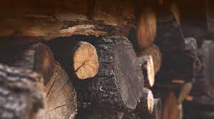 Leading Timber Wood Plywood Supplier In Mohali Punjab Timbers Winter Wood Firewood Wood