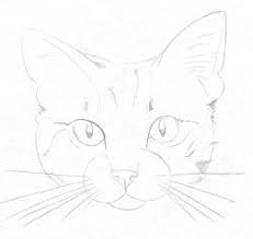 2 years old to 12 years old, my drawing difference. Draw A Cat Step By Step Animal Drawings Drawings Cat Art