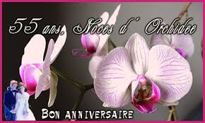 Image anniversaire fille 1 an avec cybercartes vous allez adresser pour un anniversaire de mariage des cartes de une carte électronique de voeux carte virtuelle gratuite par mail de sites google site domaine animation anniversaire mariage 50 ans noce d'or*****animated cartes virtuelles gratuites pour un anniversaire de mariage 45 ans ! Carte 55 Ans Orchidee Cybercartes Com