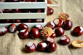 Via… ingredienti preparazione per prima cosa, laviamo bene le castagne dalla terra e dalla polvere. Castagne Cotte A Microonde Proprieta Tutti I Benefici Food Blog