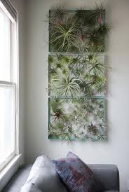 12 Elegant Ways To Bring Air Plants Into Your Home This Frame Is A Great Way To Display All Of Your A Plant Display Ideas Air Plant Display Air Plants Decor