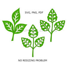 Download Paper Flower Leaf Template Svg Png Pdf Leaf Svg Files Leaf Svg Leaf Png Leaves Svg Flower Leaves Leaf Vector Leaf Templates Backdrops Props Party Decor