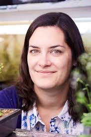 13th Triennial Meeting of the International Society for Seed Science Seed  Innovation Systems for the 21st Century