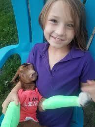 Support for Sick Pet Dog, Princess