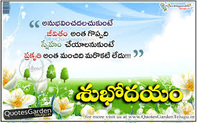Good morning images with beautiful rose flowers. Best Good Morning Quotes In Telugu Quotes Garden Telugu Telugu Quotes English Quotes Hindi Quotes