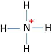 We did not find results for: Nh4 Ammonium Ion Lewis Structure