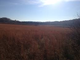 Cameos ‹ Sunset Edge