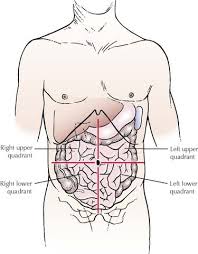 They section the area into 4 quadrants. The Abdomen Basicmedical Key