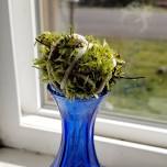 Kids Summer Fun at Worthington Park- Create a Moss Ball