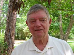 Who controls Georgia's marshes?