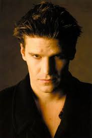 펌] David Boreanaz ♡ (데이비드 보리아나즈) : 네이버 블로그