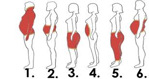 We did not find results for: 6 Types Of Body Fat And How To Get Rid Of It Dmp Fitness