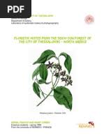 Image result for Orthopichonia barteri