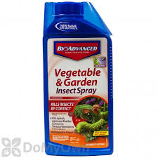 We did not find results for: Bayer Advanced Vegetable And Garden Insect Spray Concentrate