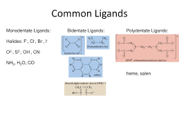We did not find results for: Coordination Chemistry Ppt Download