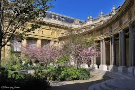 Jardin Interieur Du Petit Palais 75008 Paris Jardin Interieur Petit Palais Paris