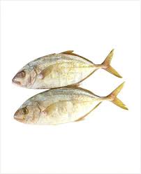 Just because you're only able to sell. Fish
