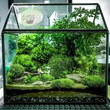 Image May Contain Plant And Outdoor Garden Terrarium Mini Terrarium Beautiful Terrariums