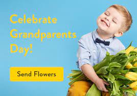 Deer valley florist has been designing fresh flowers for calgary & surrounding areas, since 1982! Wikt0mbo4csrm