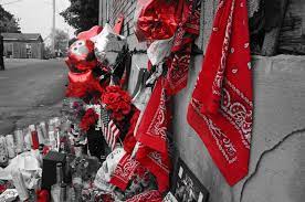 The vagos motorcycle gang also wears green bandanas. 10 Shocking Facts About The Bloods Criminal