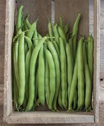 Although beans can feed themselves, pole beans produce over such a long period that they will benefit from a feeding or a side dressing of compost or composted manure about halfway through their growing season. Growing Bush Beans Green Beans Planting Culture Harvest