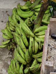 Banane Plantain Description Origine Vitamines La Cuisine D Eva