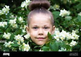 Jasmine shrub hi-res stock photography and images