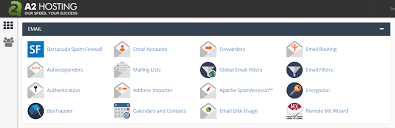 The domain was not transferred between registrars within the last 60 days;; How To Connect Your Wordpress Com Custom Domain Email To A2 Hosting