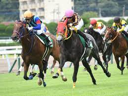 11 r 第51回小倉記念(g3) 芝右2000m / 天候 : Yqepmhh5dmvqdm