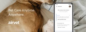 Vets for pets near me 24 hours. Vets For Pets Near Me 24 Hours Off 51 Www Usushimd Com