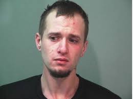 Vassar man pleads in case of heroin overdose that killed girlfriend