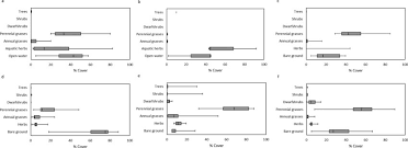 Image result for Marsilea nubica