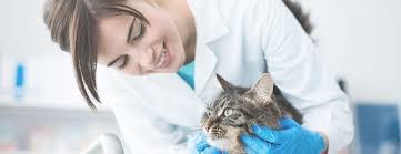 Melinda Luper's Instagram, Twitter & Facebook