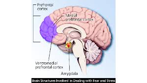 Post Traumatic Stress Disorder