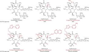 Image result for Macrolide