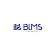 BLMS SMC PVT LTD logo